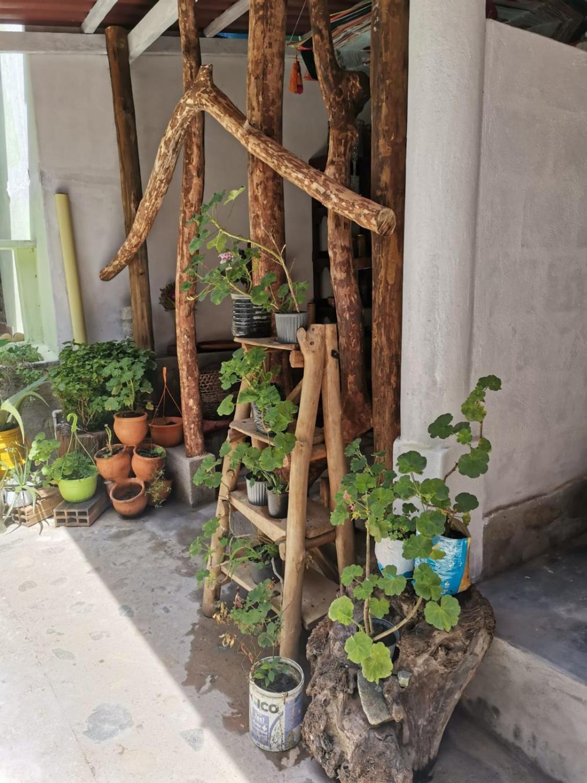 Mocoa Posada Kauai מראה חיצוני תמונה